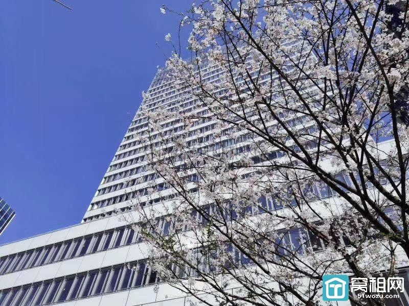 宁波南部商务区永强大厦豪华装修646平米办公室出租(图8)