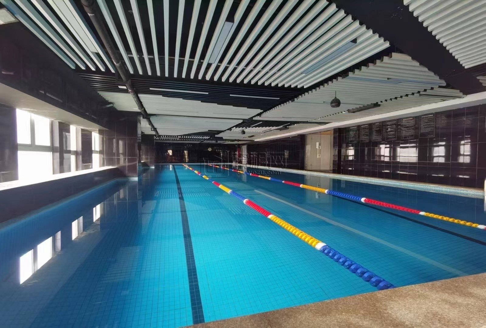 高新区江南路520号精装健身房带独立泳池出租(图2)