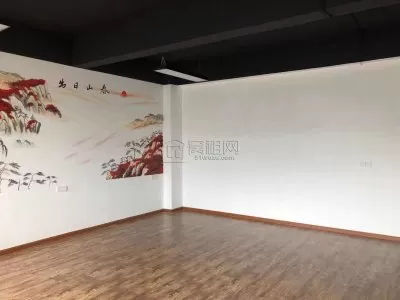 高新区创客1377孵化园出租办公室75平米