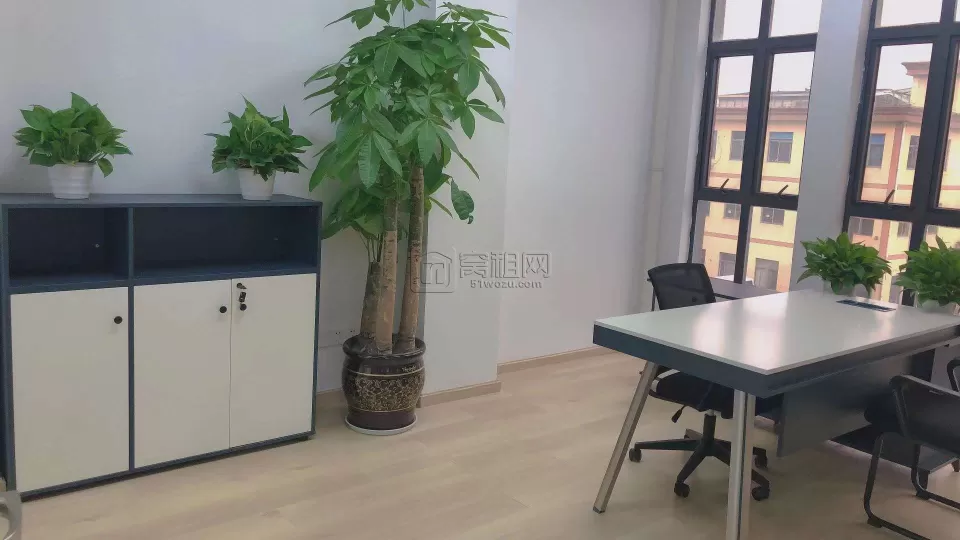 下应中物科技园附近梦创金谷185平 样板房 落地采