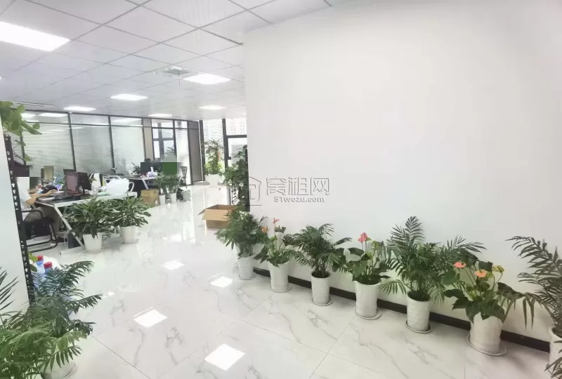 出租泰康大厦 215平 东北双面采光 10500元