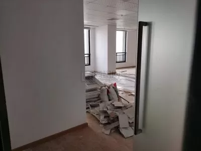 百丈路上东国际大厦3号楼出租