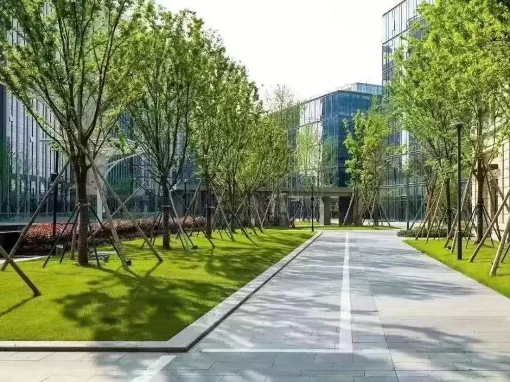 高新区新材料科技城出租268平米