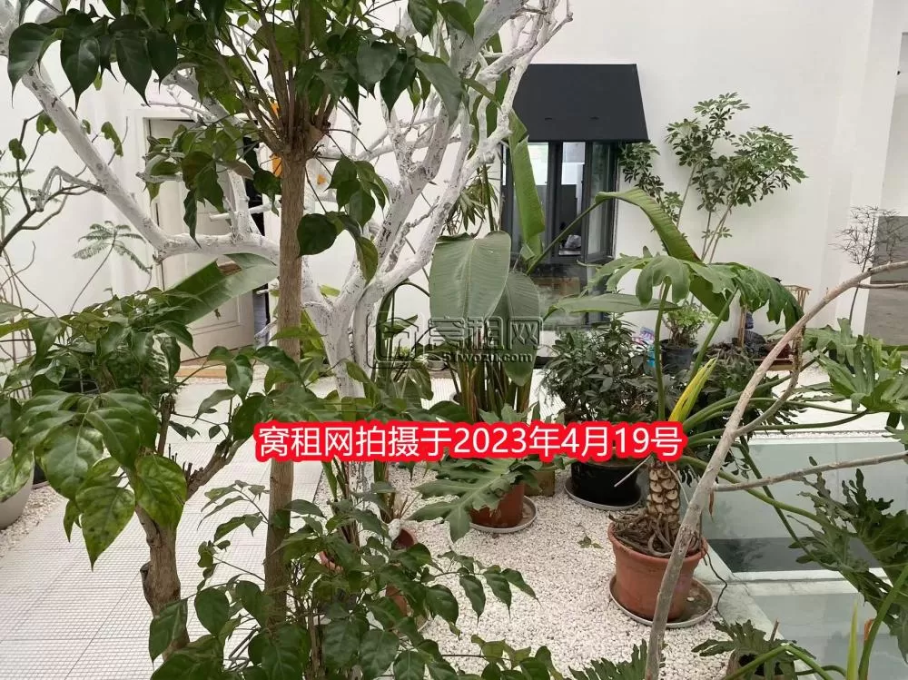 十方花社