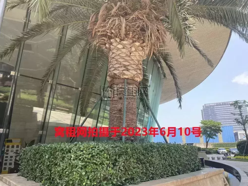 财富中心