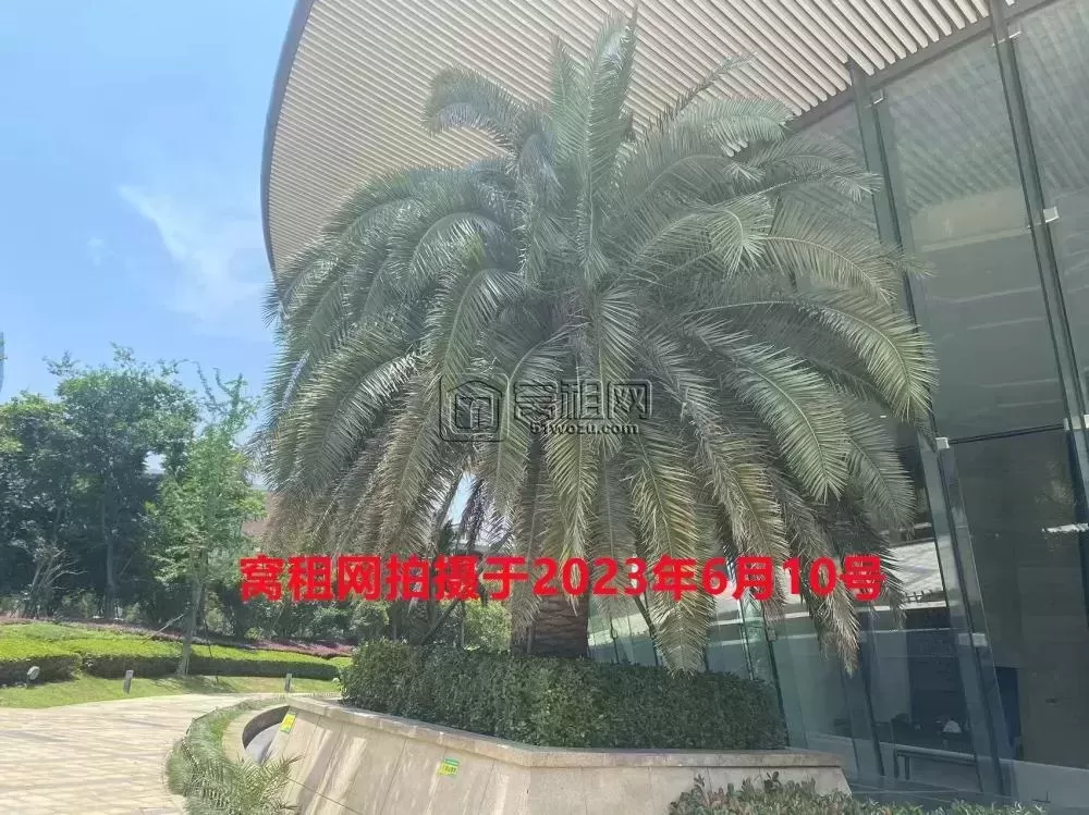 财富中心