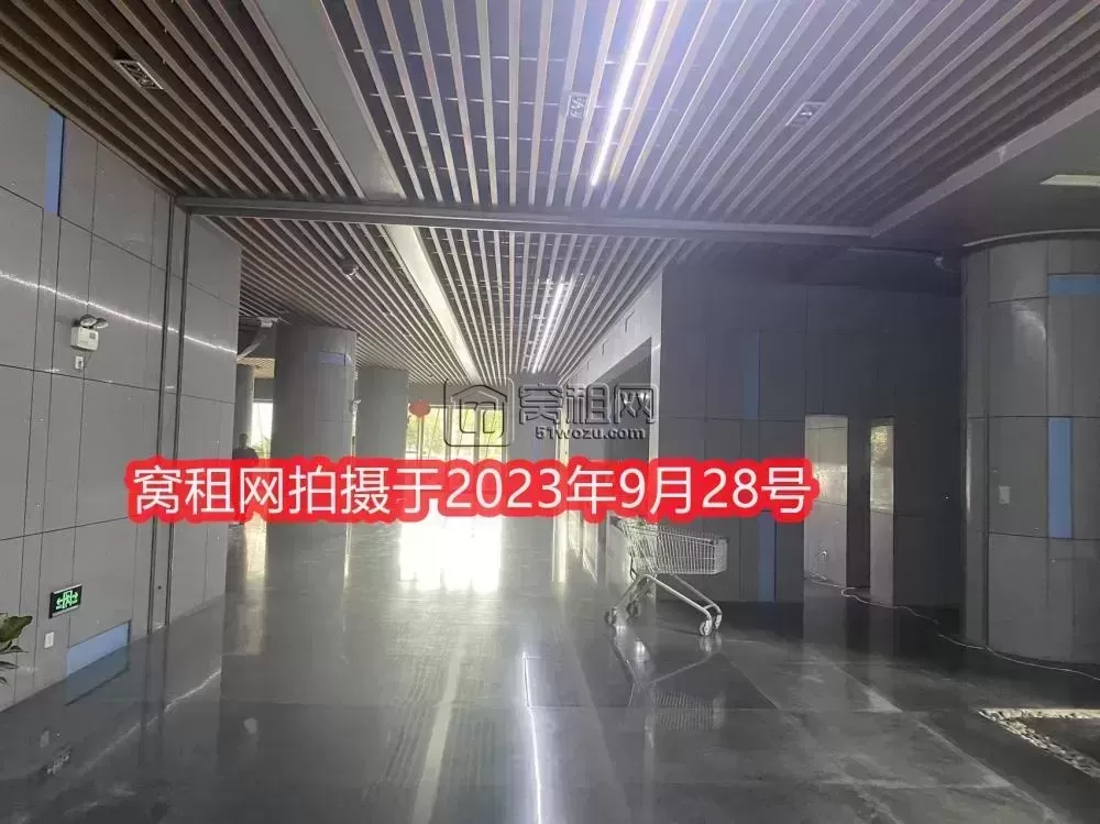 新洲银座