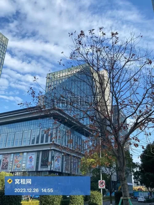宁波保税区国贸中心大楼