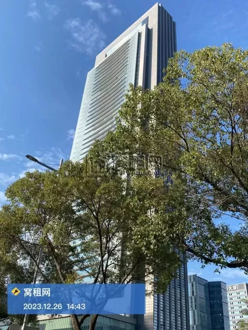 国际航运中心