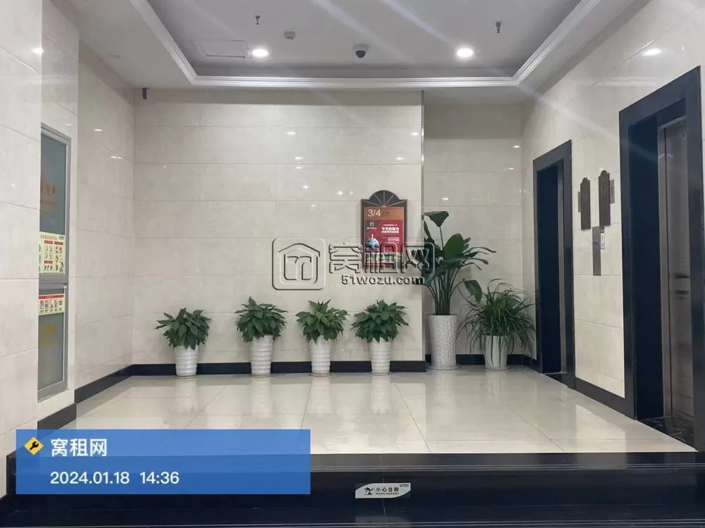城市摩尔