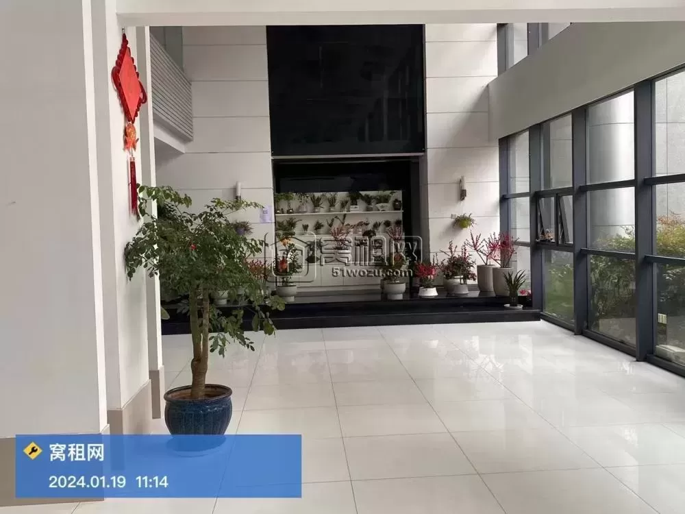 宁波新城国际