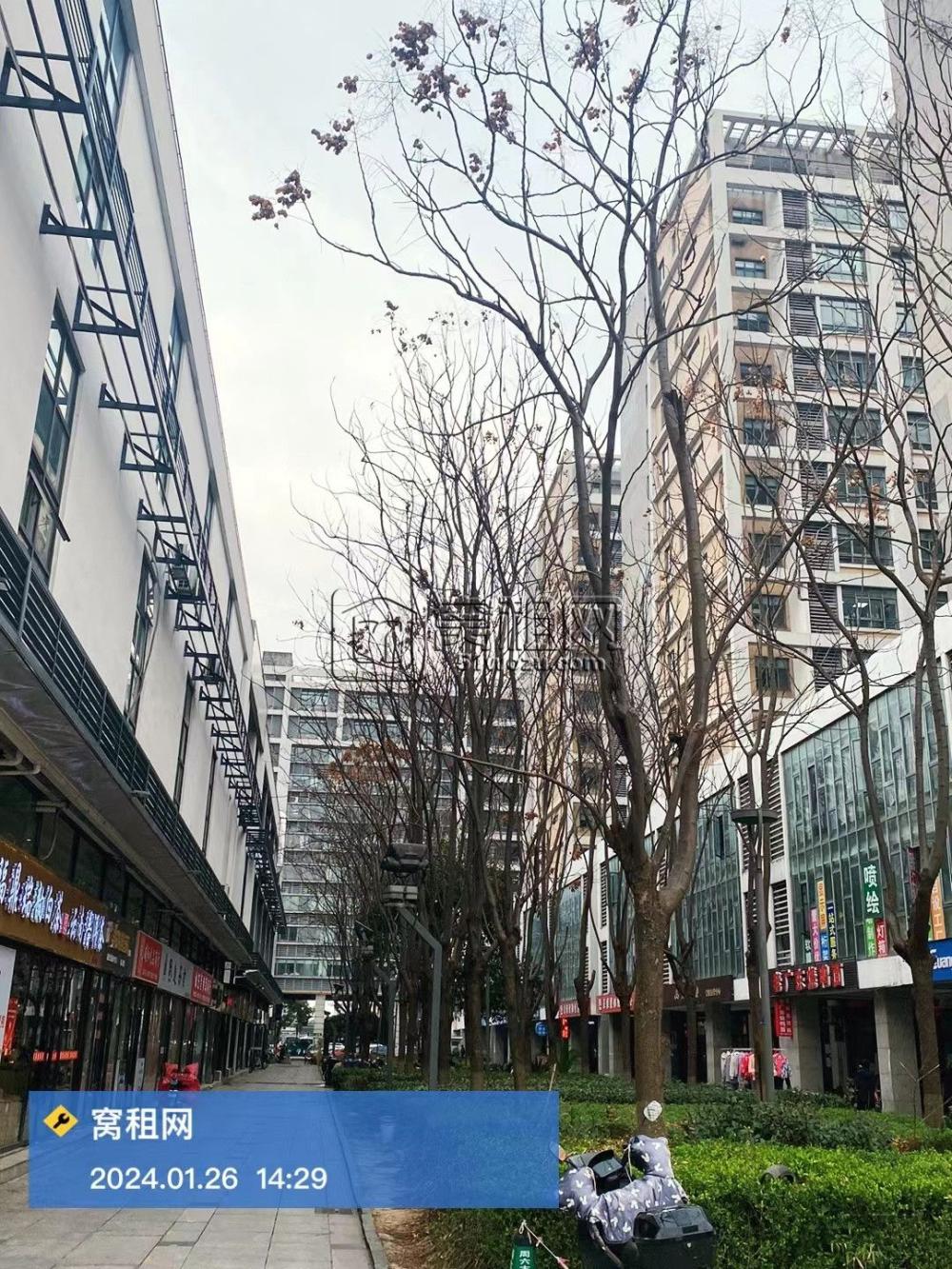宁波东方商务中心(图8)
