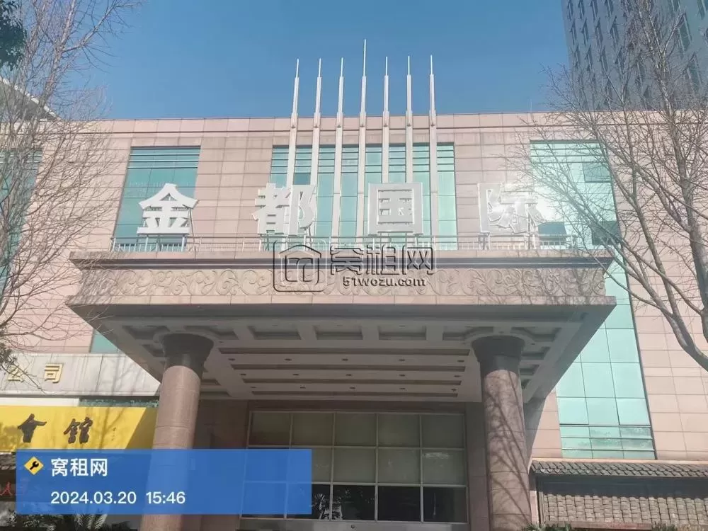 金都国际