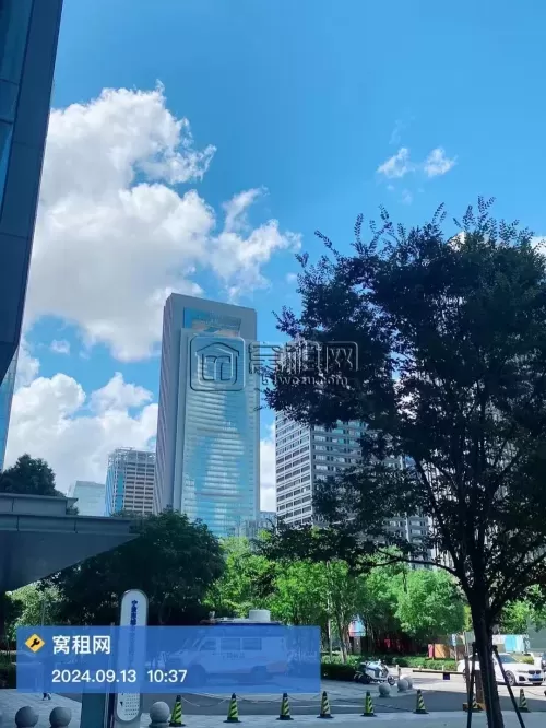 国际航运中心