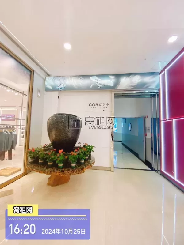 宁波世纪东方COB