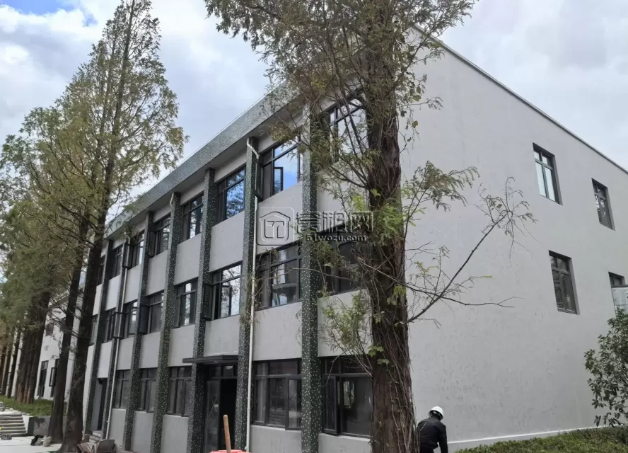 宁波大学创新港停车收费多少？