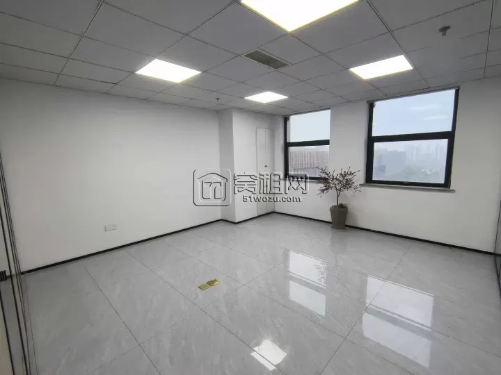 东部新城 新府银座 电梯口东南朝向 338平 6隔间