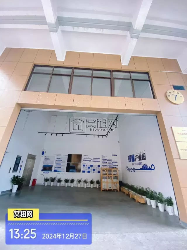 锐鼎加速器