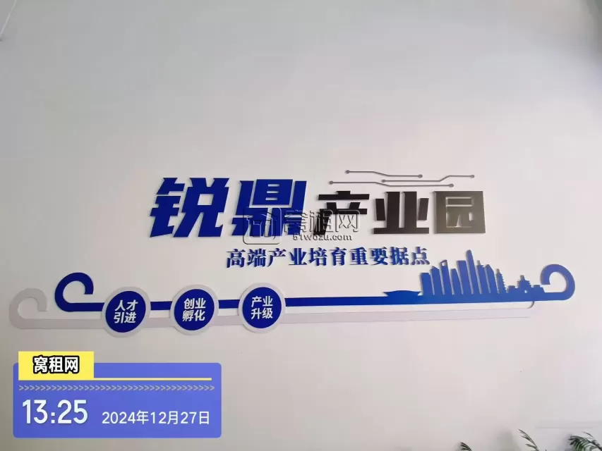 锐鼎加速器
