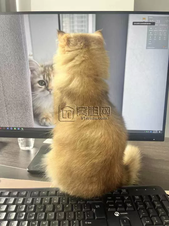 窝租网对网站进行一个整理和删除一个楼盘(图1)