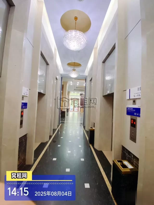 新海蓝钻