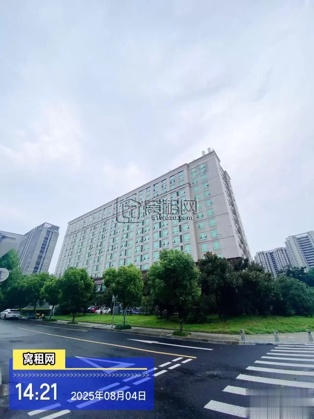 新海蓝钻