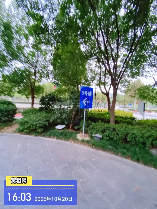 新府银座(图5) 新府银座(图5)