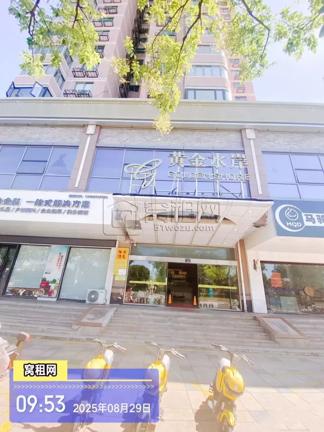 黄金水岸(图1) 黄金水岸(图1)