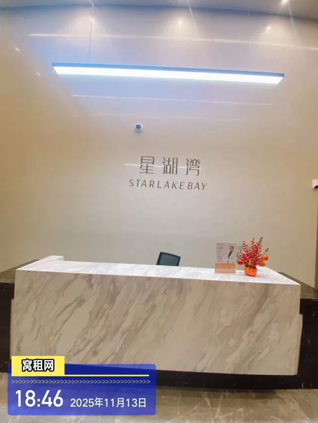 星湖中心大厦停车包月多少？