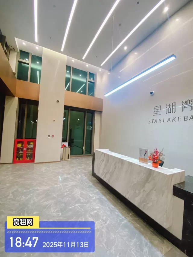 星湖中心大厦停车包月多少？