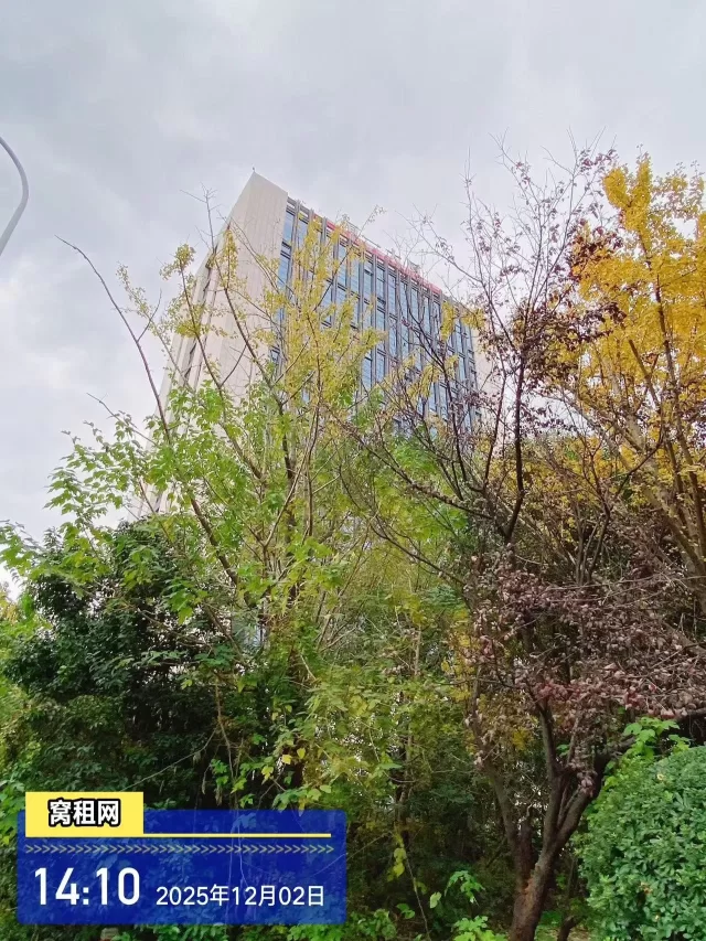 恒一广场大厦(图3) 恒一广场大厦(图3)