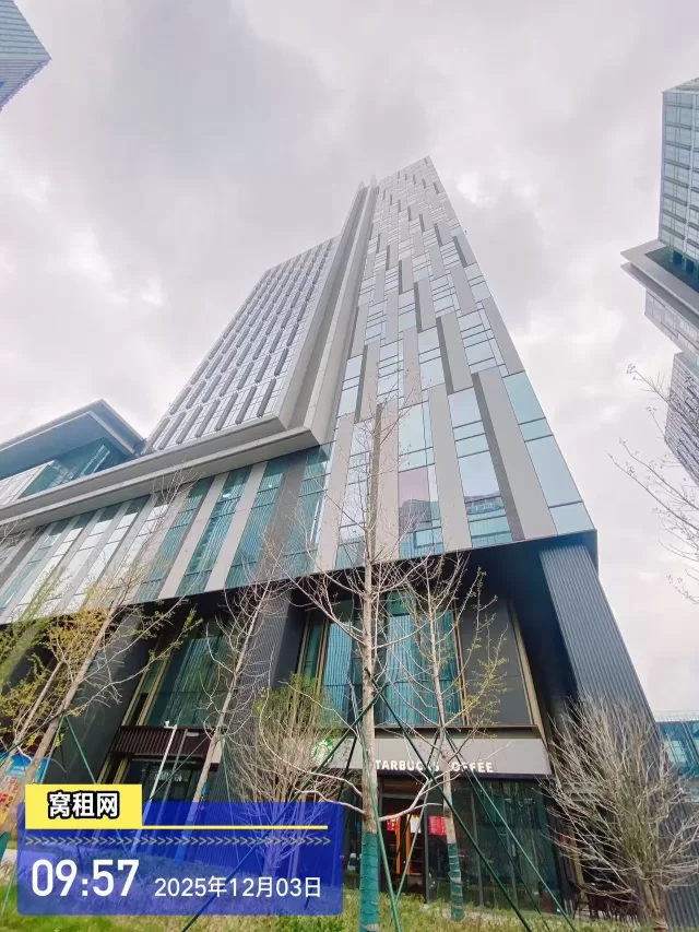 保税区国贸中心大楼(图2) 保税区国贸中心大楼(图2)