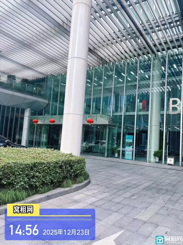 国际金融中心B座