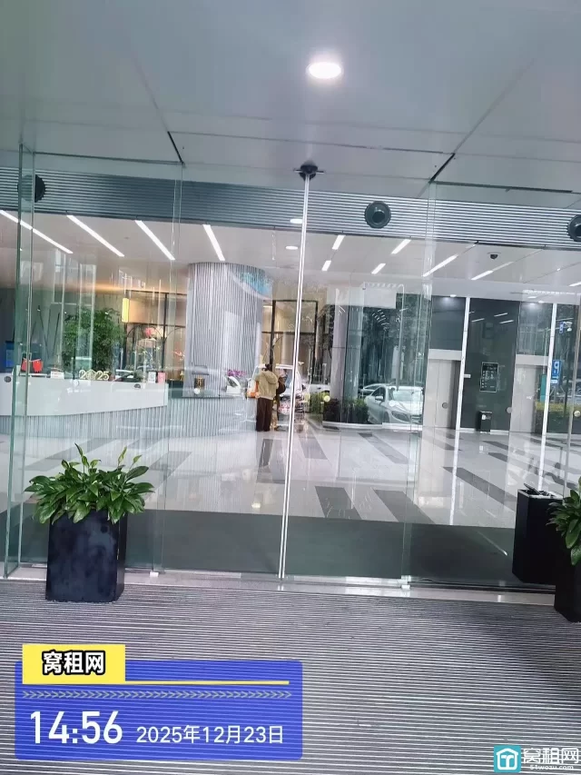 国际金融中心B座