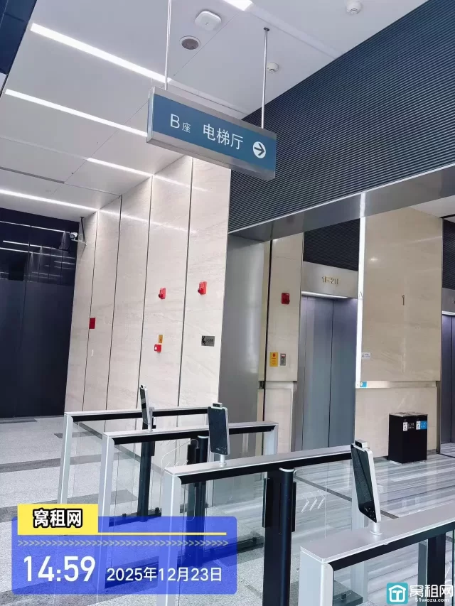 国际金融中心B座