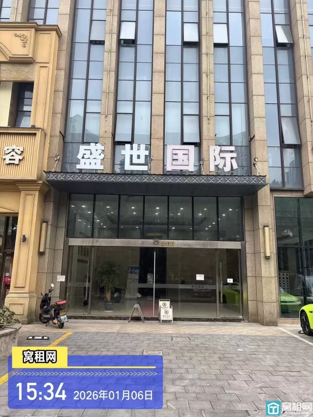 盛世国际(图1) 盛世国际(图1)