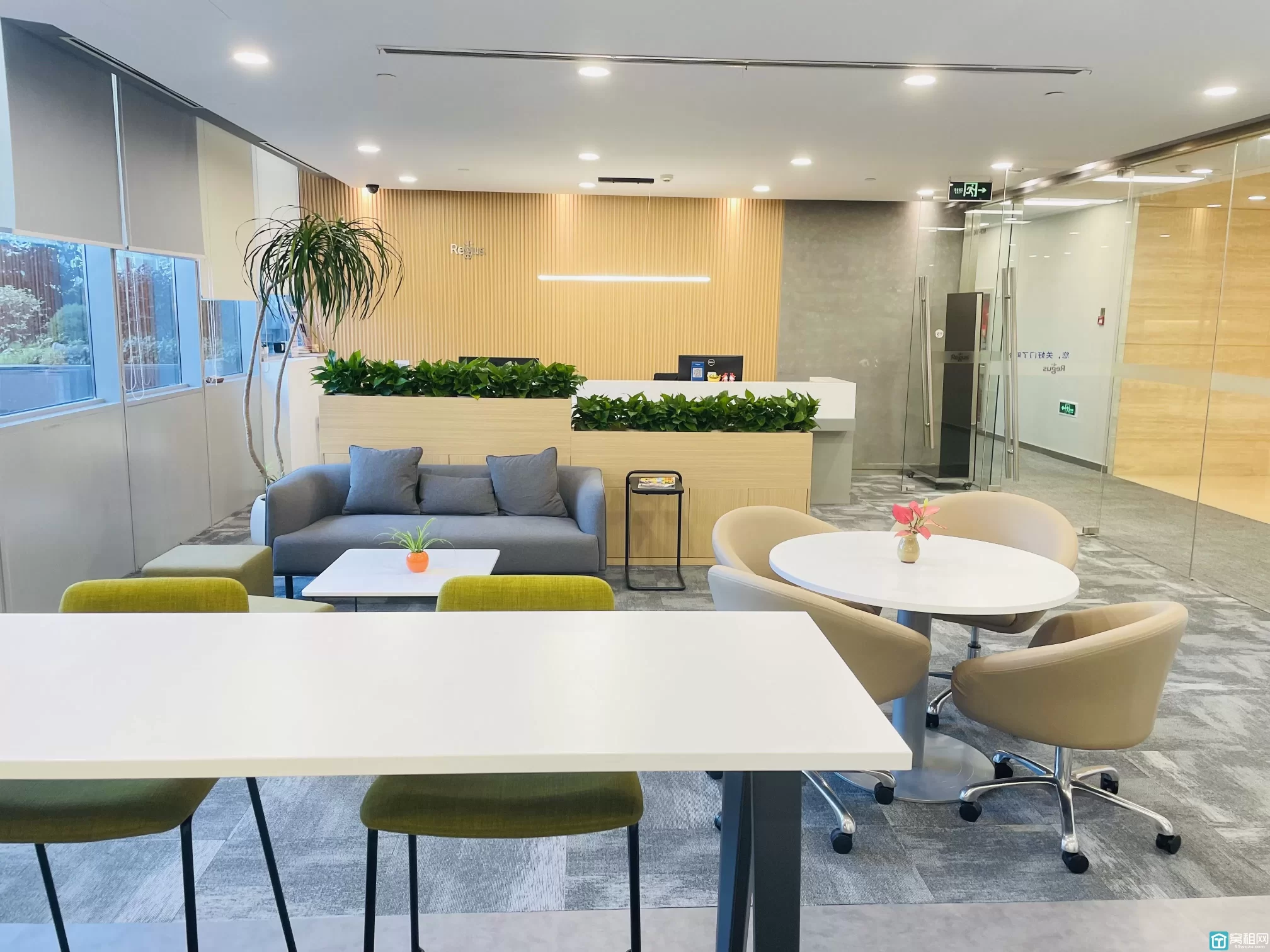 雷格斯(图2) 雷格斯(图2)