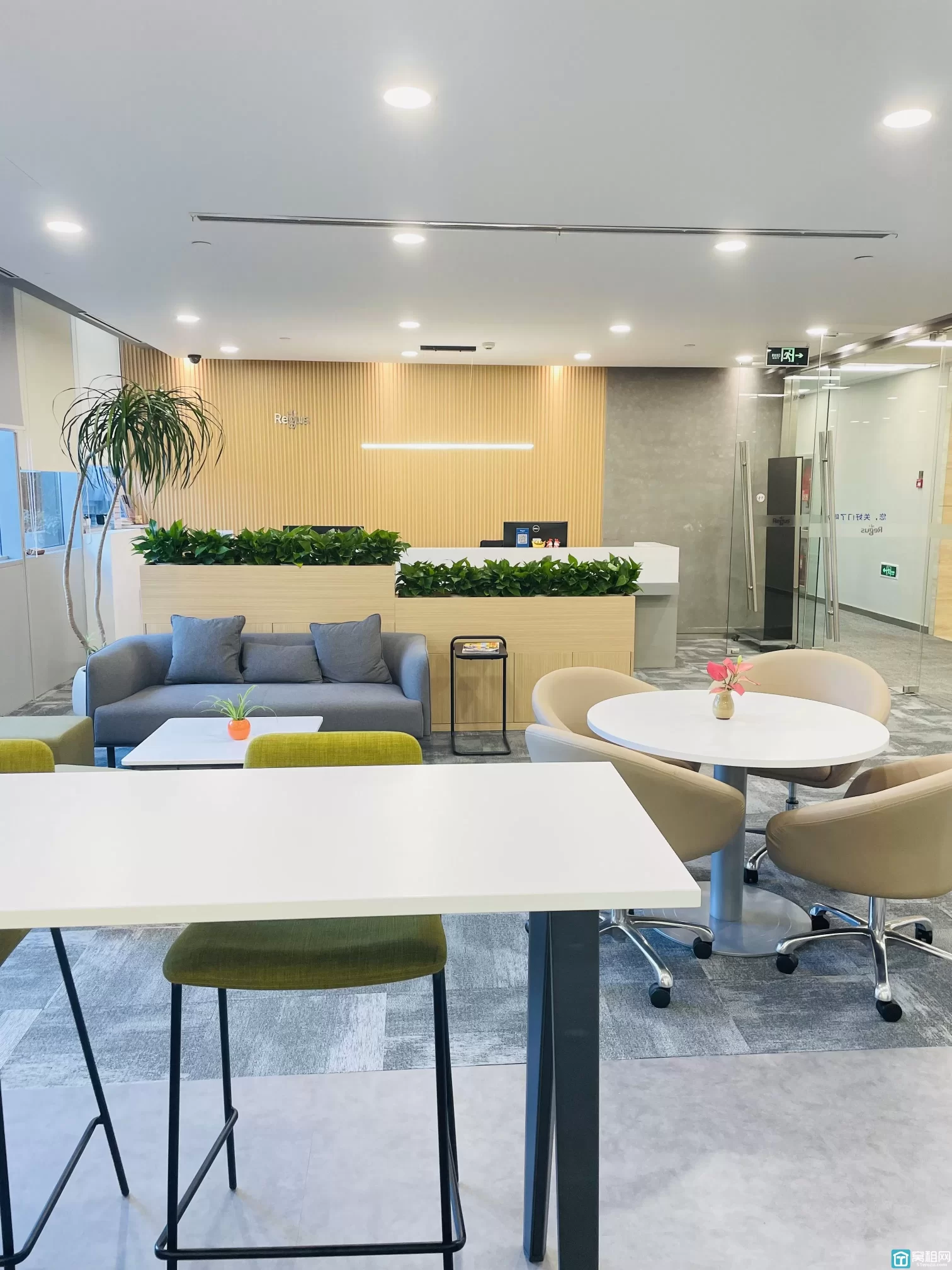 雷格斯(图3) 雷格斯(图3)