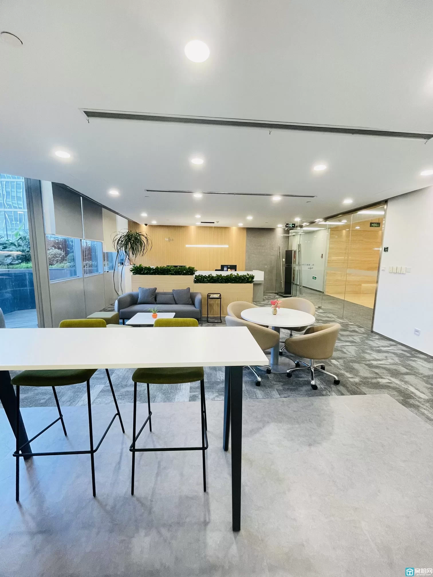 雷格斯(图4) 雷格斯(图4)