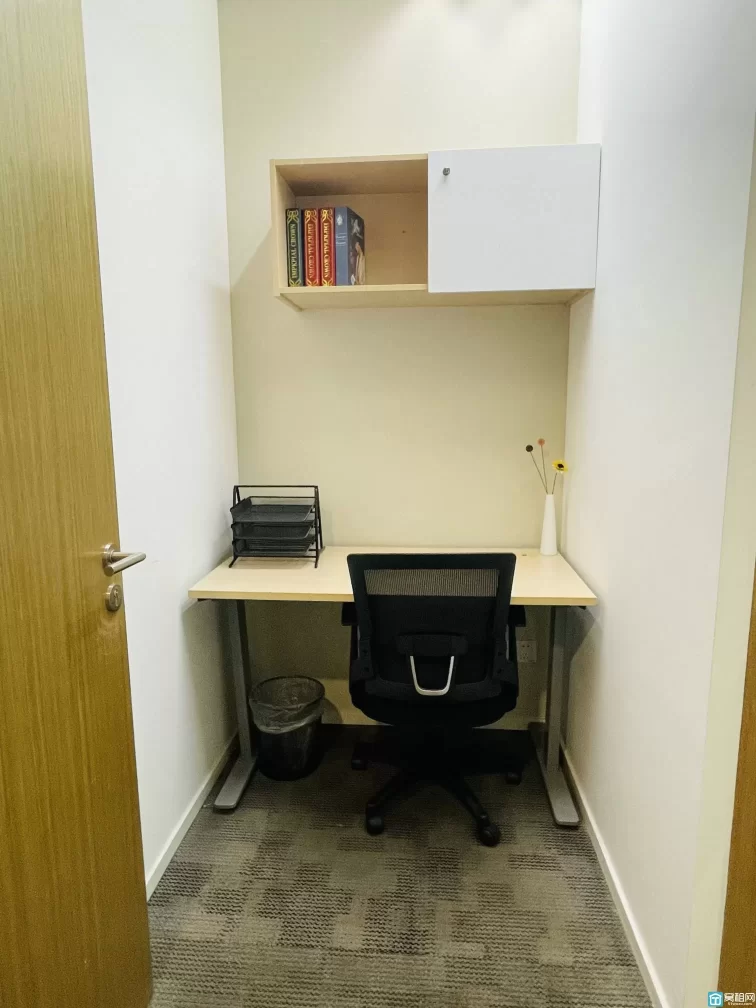 雷格斯(图8) 雷格斯(图8)