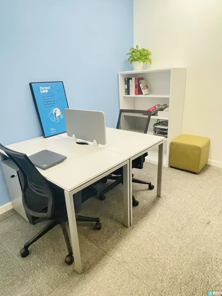 雷格斯(图9) 雷格斯(图9)