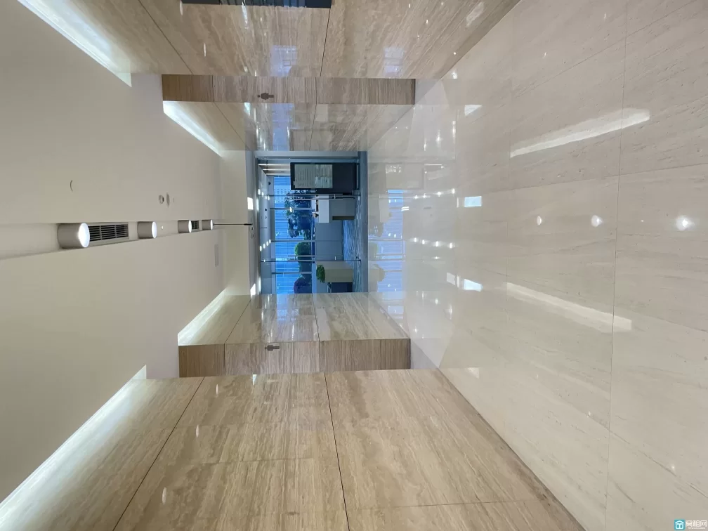 雷格斯(图11) 雷格斯(图11)