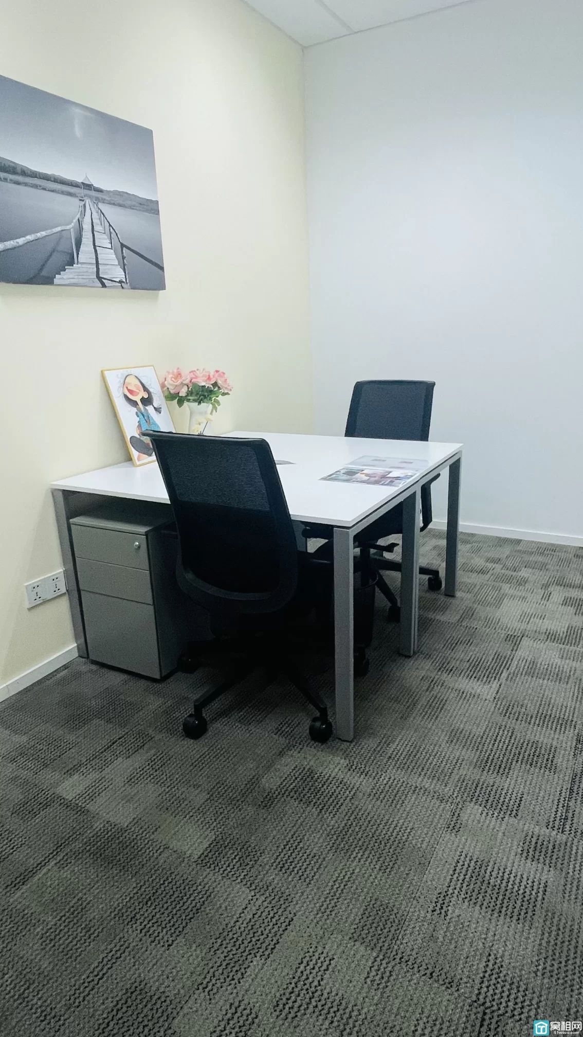 雷格斯(图13) 雷格斯(图13)