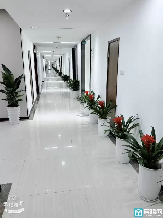 江北前洋房东直租中策世纪博园118平方，全新装修.朝东北，带2个隔间