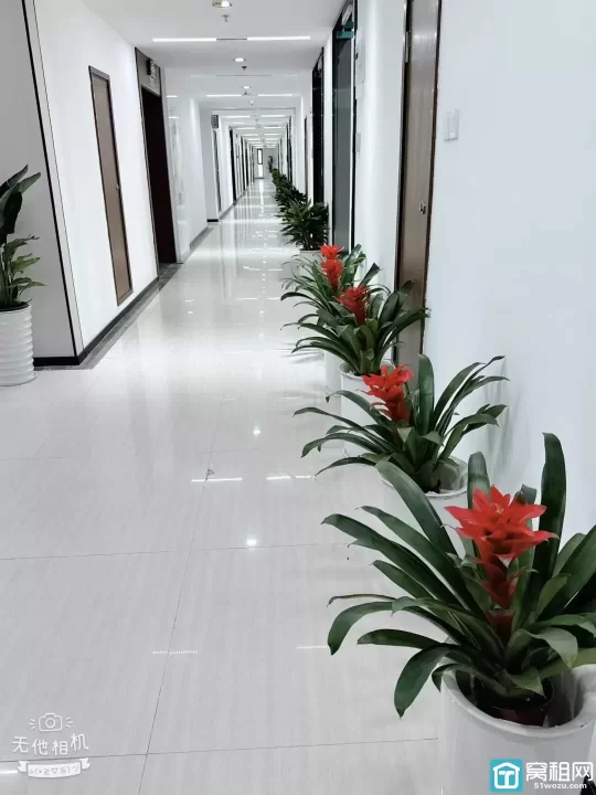 江北前洋房东直租中策世纪博园118平方，全新装修.朝东北，带2个隔间