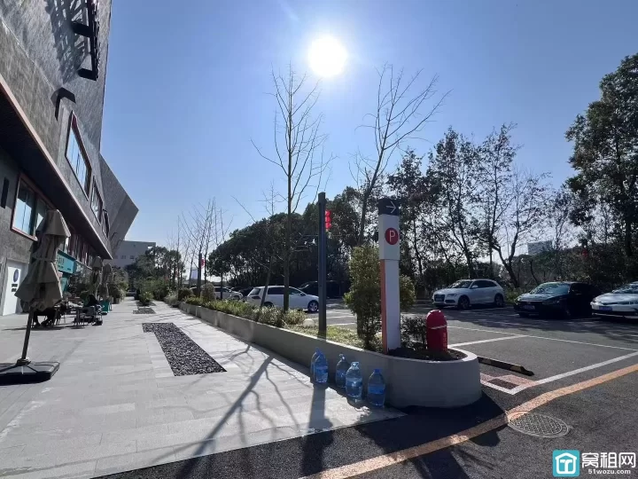 高新区超大前庭花园+后花园，稀缺户型 452平1+2户型，独门独户