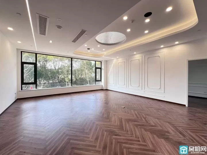 高新区超大前庭花园+后花园，稀缺户型 452平1+2户型，独门独户