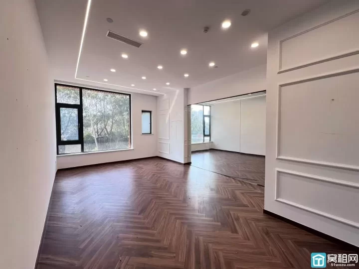 高新区超大前庭花园+后花园，稀缺户型 452平1+2户型，独门独户