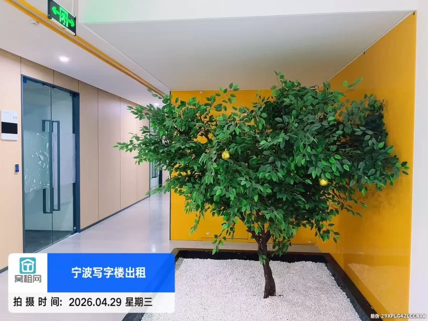 宁波亿天直播电商园