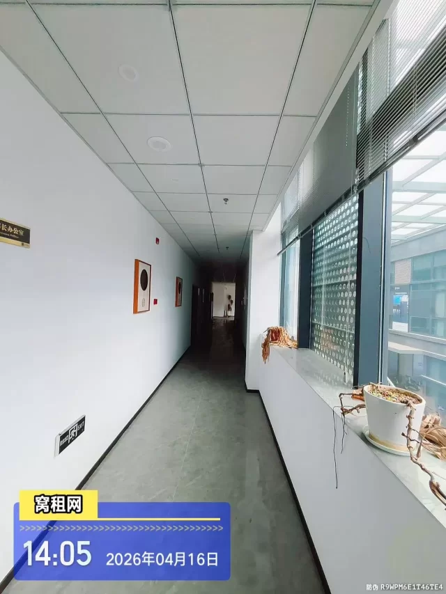 金山中心